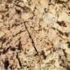 Golden Persa Granite Tile