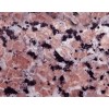 Sanbao Red Granite Tile