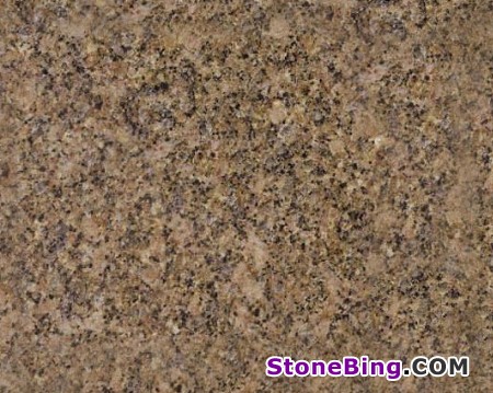 Carioca Gold Granite Tile