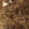 Emperador Dark Marble Tile