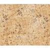 Kashmire Gold Granite Tile