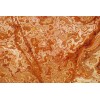 Tiger Onyx Tile