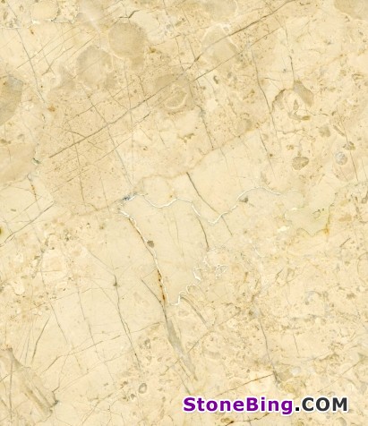 Crema Pearl Marble Tile