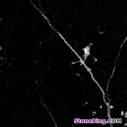 Nero Marquina Marble Tile