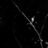 Nero Marquina Marble Tile