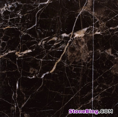 Noir St.Laurent Marble Tile