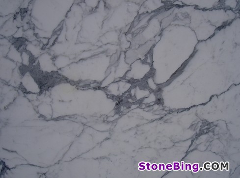 Statuary Marble Tile