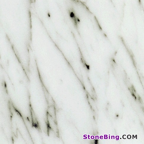 Bianco Venato Marble Tile