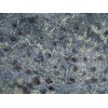 Azul Fantasy Granite Tile