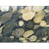 Black Marinachie Granite Tile