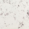 Francy White Quartz Stone