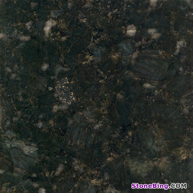 Butterfly Green Granite Tile