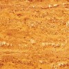 Gold Travertine Tile