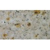 Desert Gold Granite Tile