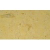 Fossil Oro Limestone Tile