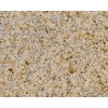 Giallo Fantasia Granite Tile