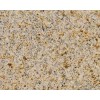 Giallo Fantasia Granite Tile