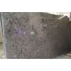Labador Antique Granite Slab