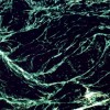Imperial Green Marble Tile