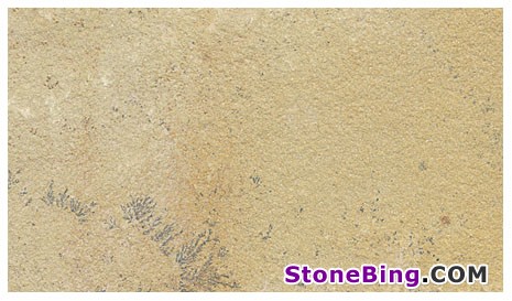 Mint Fossil Sandstone Tile