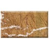 Rainforest Gold Marble Tile
