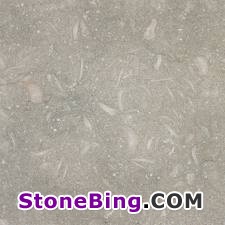 Sea Grass Limestone Tile