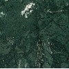 Flower Green Marble Tile