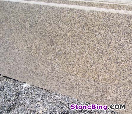 Royal Cream Granite Slab