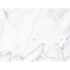 Bianco Statuario Marble Tile