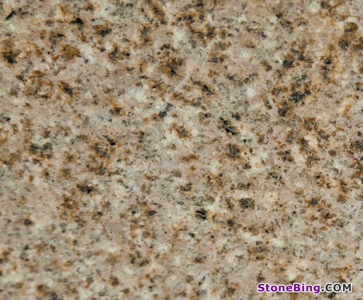 Almond Gold Granite Tile