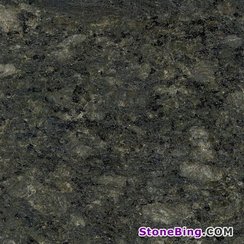 Green Butterfly Granite Tile