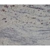 Branco Romano Granite Tile