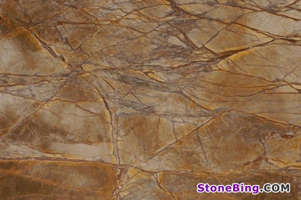 Rain Forest Brown Marble Tile