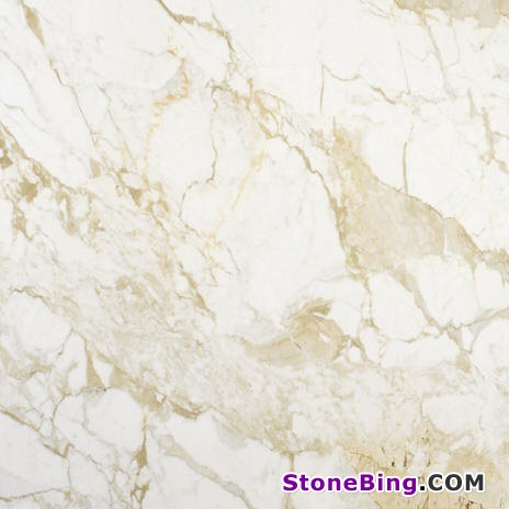 Calacatta Gold Marble Tile