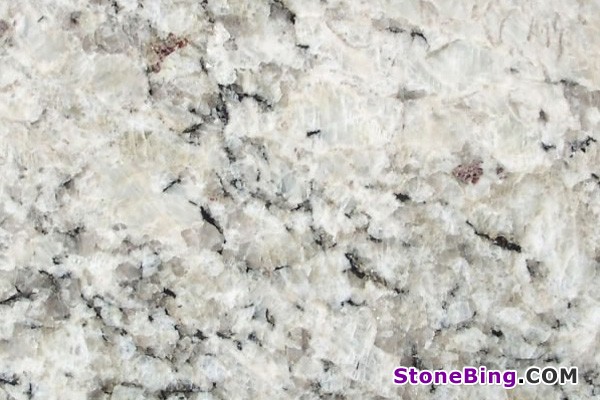 Spring White Granite Tile