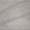 Calacatta Carrara Marble Tile