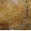 Rainforest Brown Marble Tile