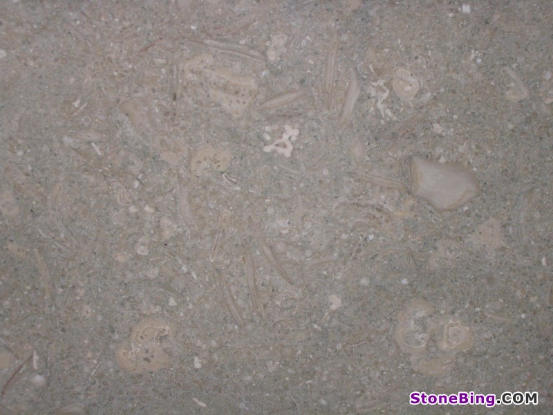 Fossil Green Limestone Slab