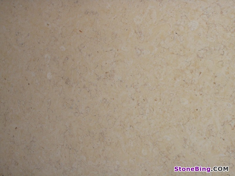 Jerusalem Gold Limestone Slab