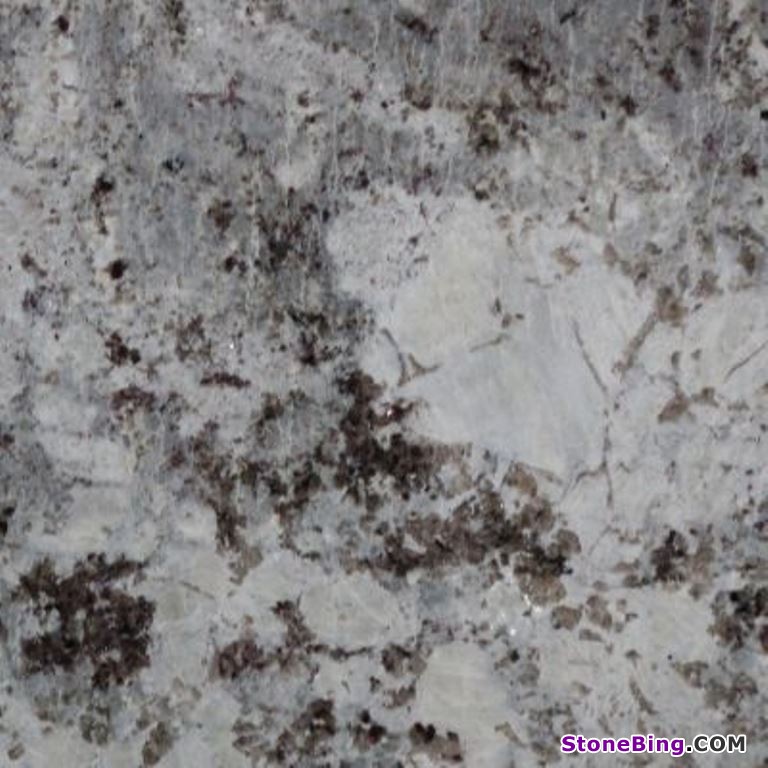 Alaskan White Granite Tile