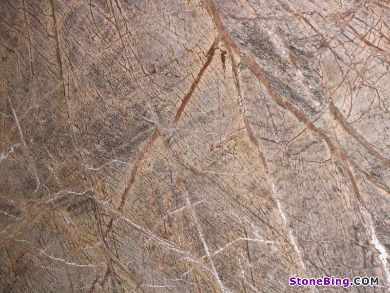 Forest Brown Marble Slab