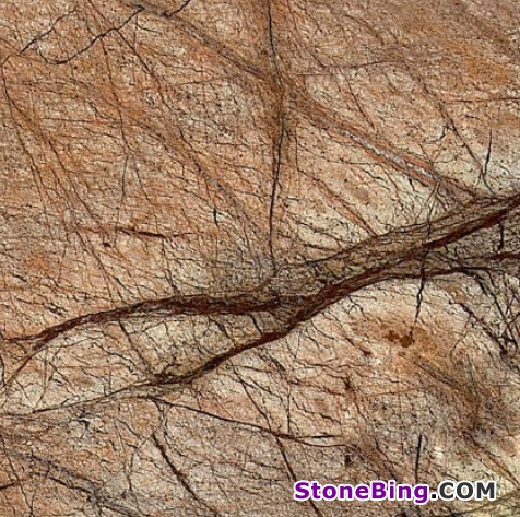 Cafe Forest Marble Tile
