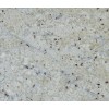 Bianco Romano Granite Tile