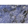 Blue Bahia Granite Tile