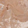 Breccia Oniciata Marble Tile