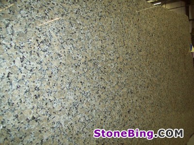 Beige Butterfly Granite Slab