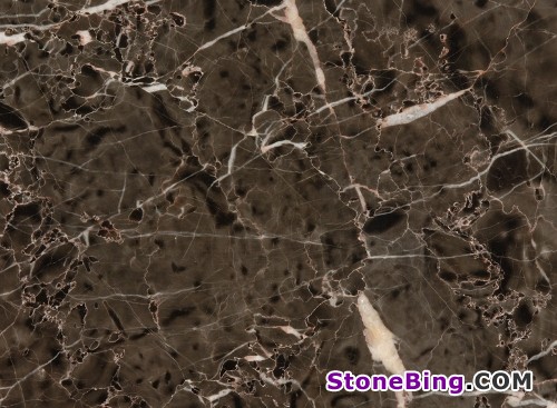 Dynasty Brown Marble Tile