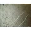 Bianco Romano Granite Slab