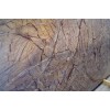 Forest Brown Marble Slab