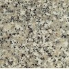 Crema Cabrera Granite Tile